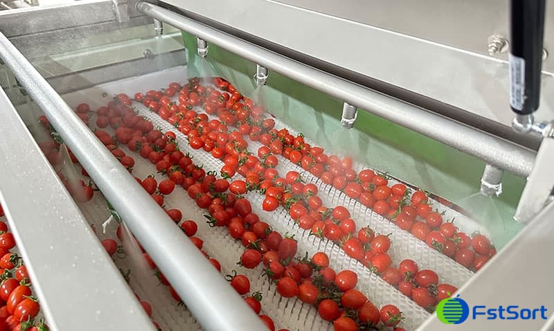 fruit washing machine for fruit.jpg fruit washing machine for fruit.jpg